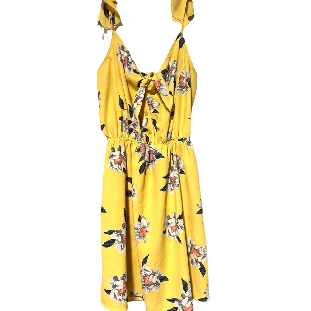 LIMITED EDITION Walking Through The Garden Sundress